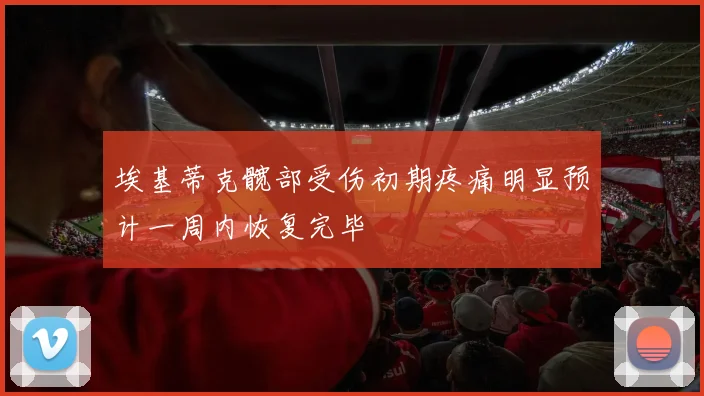 埃基蒂克髋部受伤初期疼痛明显预计一周内恢复完毕