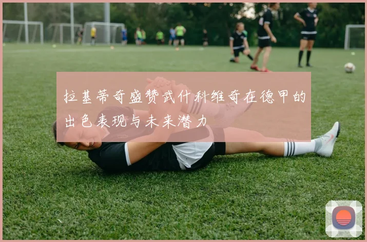 拉基蒂奇盛赞武什科维奇在德甲的出色表现与未来潜力